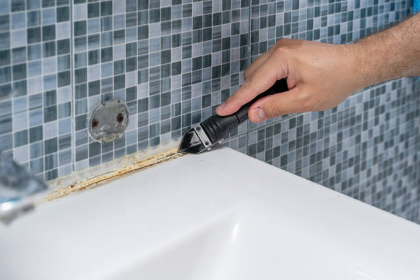 Best Certified Mold Removal  in Samsula Spruce Creek, FL