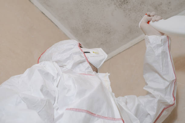 Best Same-Day Mold Removal  in Samsula Spruce Creek, FL